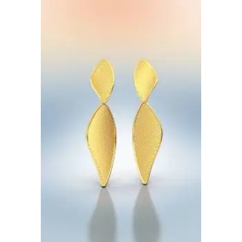 Nice Gold Earring